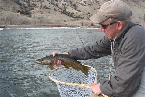 yellowstone lake fishing report.